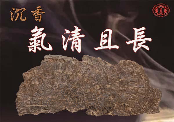 海南沉香氣清且長